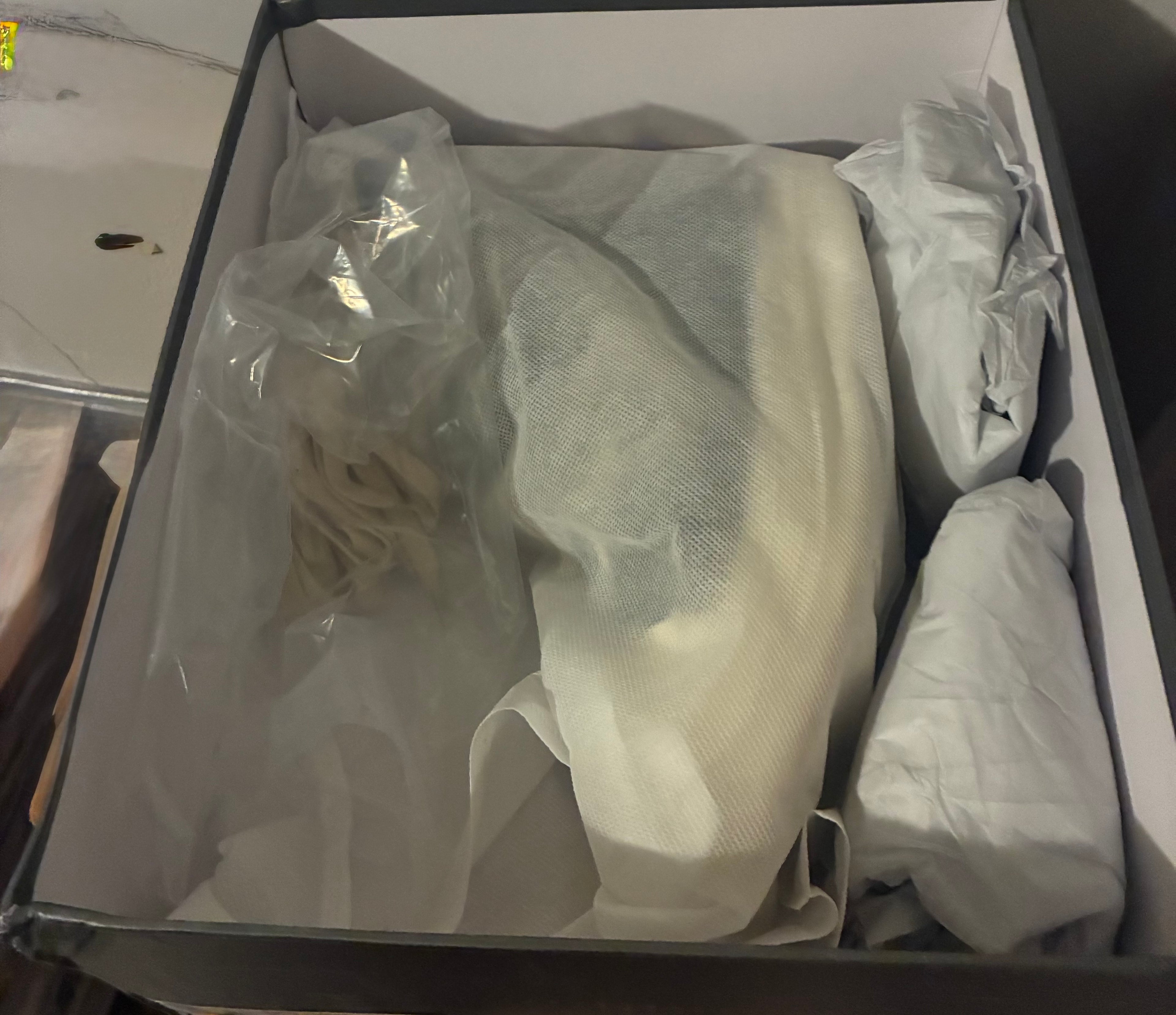 Untitled Jan31_08:29